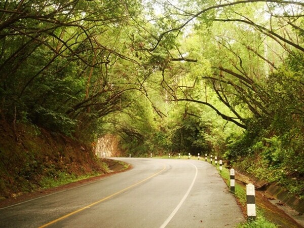 泰国7大风景最美公路:梦幻壮美 令人窒息