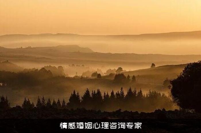 情感婚姻心理咨询专家
