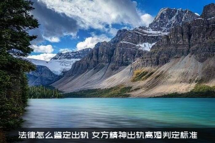 法律怎么鉴定出轨