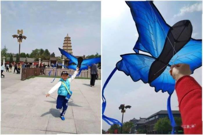 高露相亲坐错位置31集（富家女相亲坐错位置是什么电视剧）