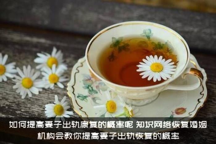 如何提高妻子出轨康复的概率呢