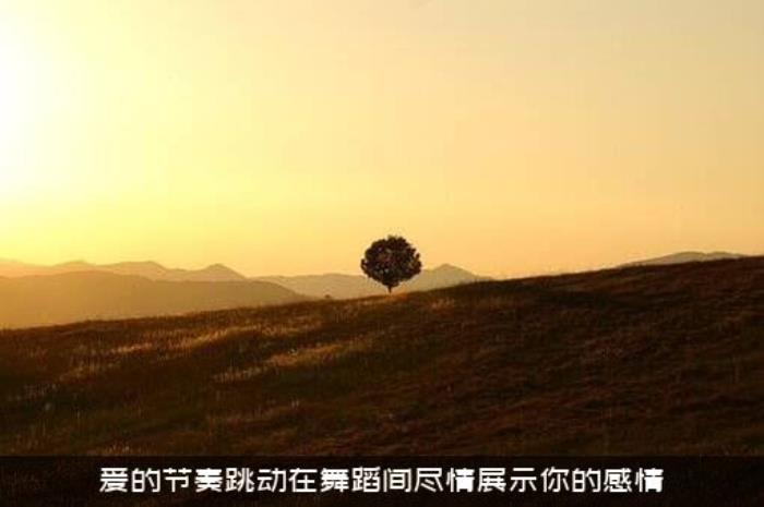 爱的节奏跳动在舞蹈间尽情展示你的感情