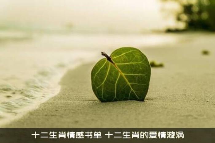 十二生肖情感书单（十二生肖的爱情漩涡）