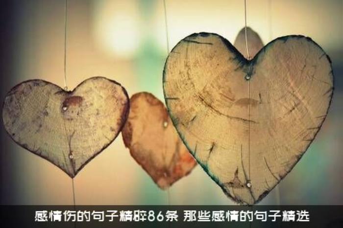 感情伤的句子精辟86条，，那些感情的句子精选