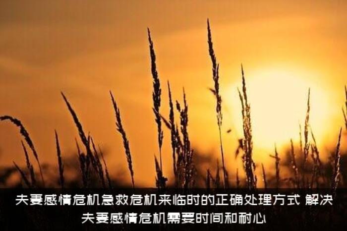 夫妻感情危机急救危机来临时的正确处理方式，解决夫妻感情危机需要时间和耐心