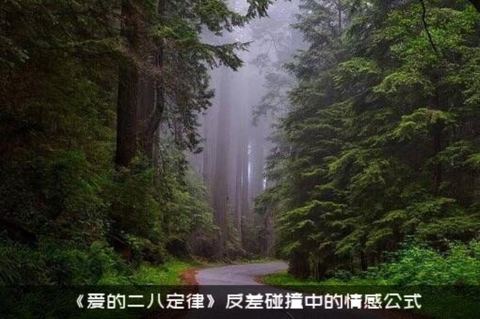 《爱的二八定律》反差碰撞中的情感公式