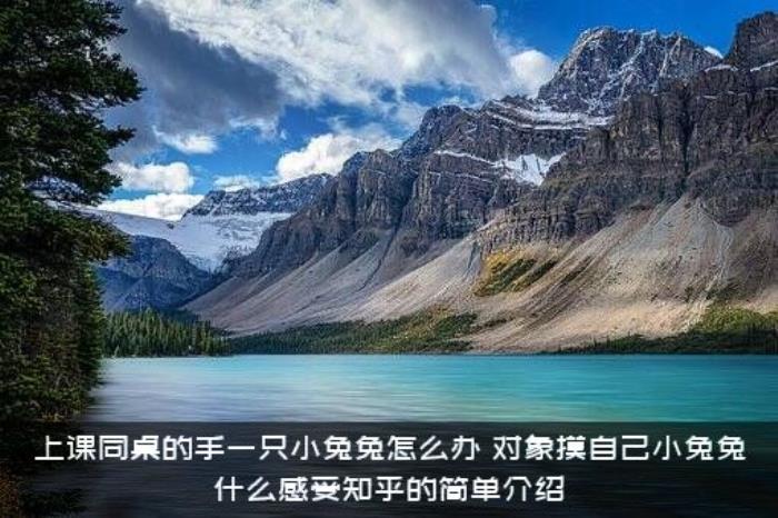 上课同桌的手一只小兔兔怎么办（对象摸自己小兔兔什么感受知乎的简单介绍）