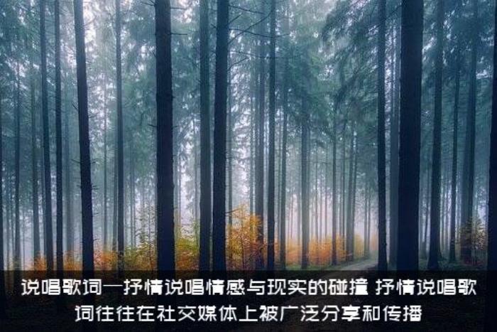 说唱歌词—抒情说唱情感与现实的碰撞，抒情说唱歌词往往在社交媒体上被广泛分享和传播