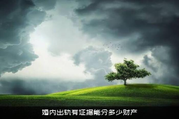 婚内出轨有证据能分多少财产