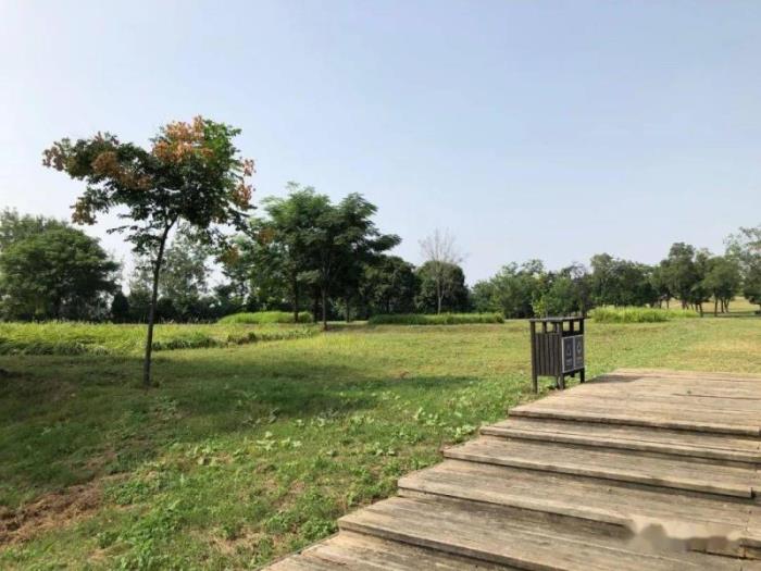 小朋友都爱放风筝!赶紧总结出了这些地方,希望周末一样人少够空旷! 小朋友都爱放风筝!赶紧总结出了这些地方,希望周末一样人少够空旷!