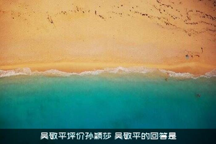 吴敬平评价孙颖莎（吴敬平的回答是）