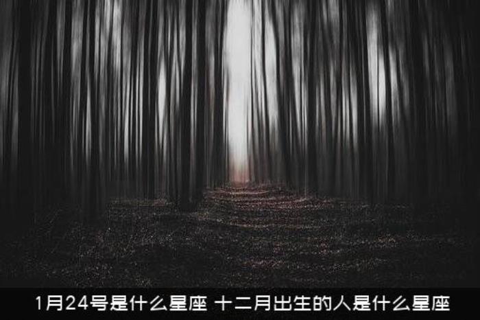 1月24号是什么星座