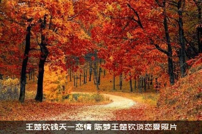 王楚钦钱天一恋情（陈梦王楚钦谈恋爱照片）