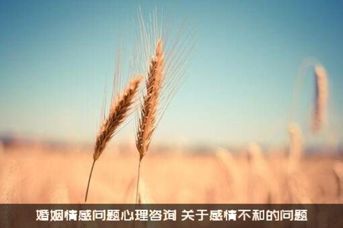 婚姻情感问题心理咨询（关于感情不和的问题）