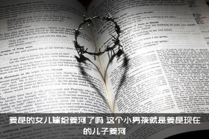 姜昆的女儿嫁给姜河了吗