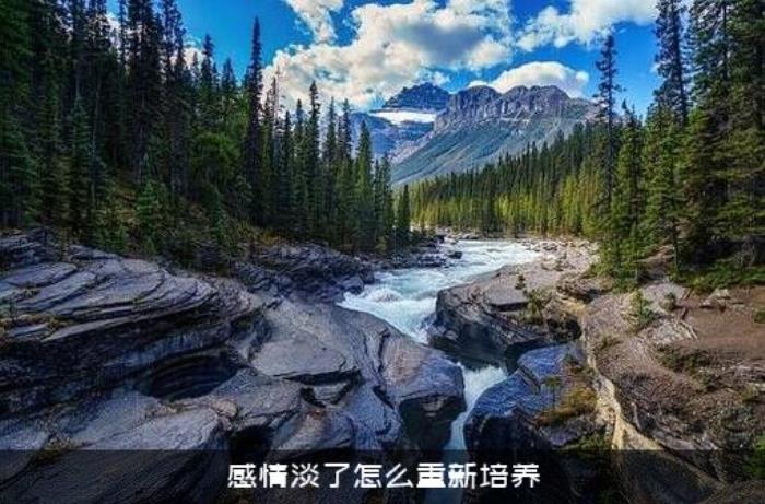 感情淡了怎么重新培养 感情淡了怎么重新培养