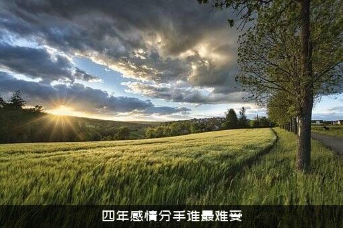 四年感情分手谁最难受