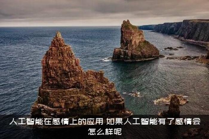 人工智能在感情上的应用，如果人工智能有了感情会怎么样呢?