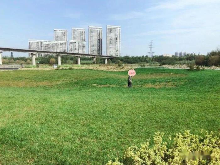 解结咒的作用有那些（神奇的解结咒化解感情恶缘）