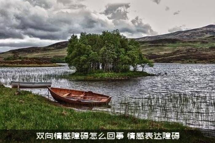 双向情感障碍怎么回事?（情感表达障碍）