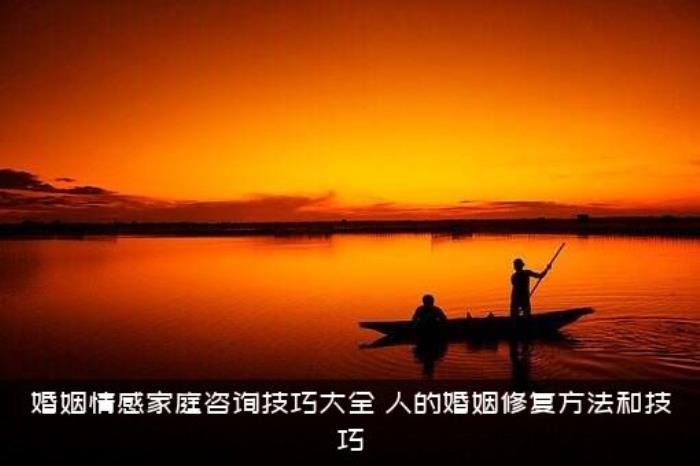 婚姻情感家庭咨询技巧大全，人的婚姻修复方法和技巧