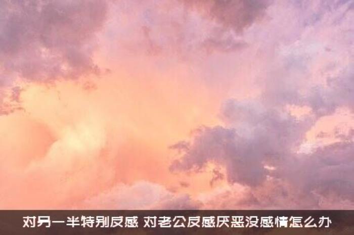 对另一半特别反感，对老公反感厌恶没感情怎么办