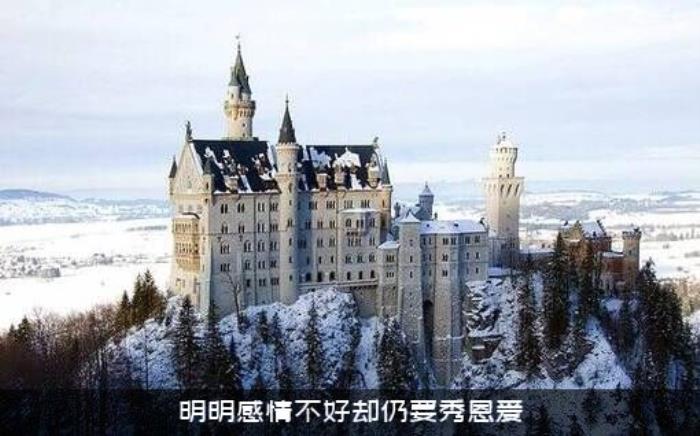 明明感情不好却仍要秀恩爱