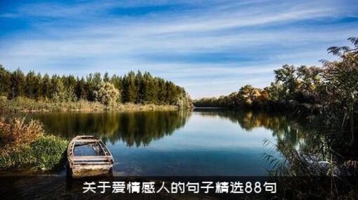 关于爱情感人的句子精选88句