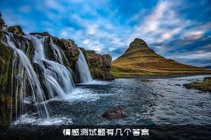 情感测试题有几个答案