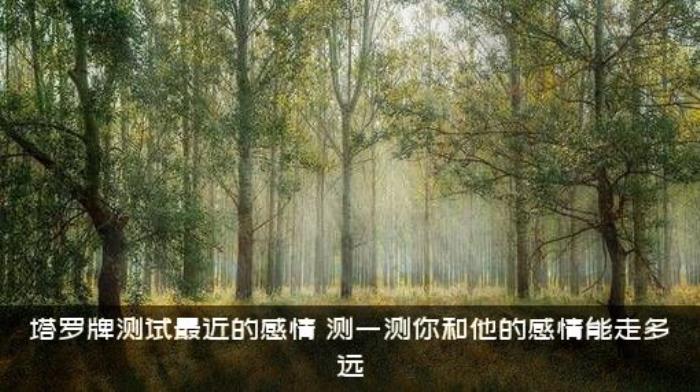 塔罗牌测试最近的感情（测一测你和他的感情能走多远）