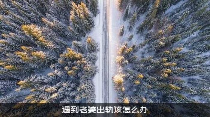 遇到老婆出轨该怎么办