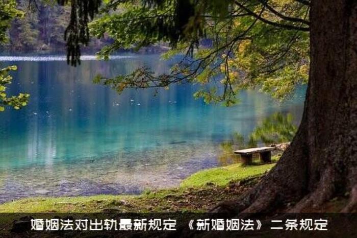 婚姻法对出轨最新规定（《新婚姻法》二条规定）