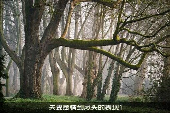 夫妻感情到尽头的表现1