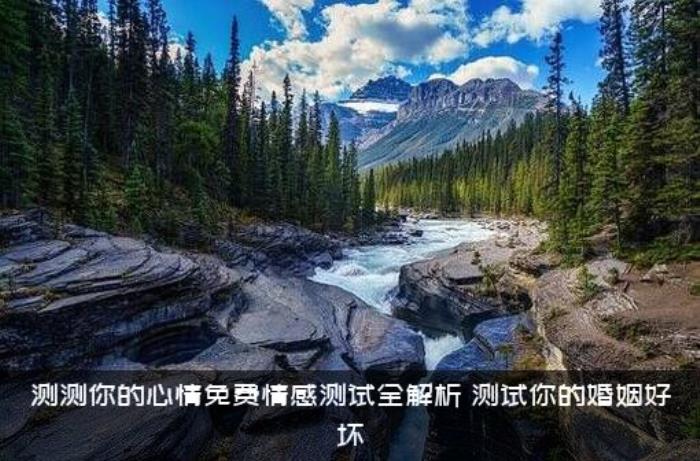 测测你的心情免费情感测试全解析，测试你的婚姻好坏