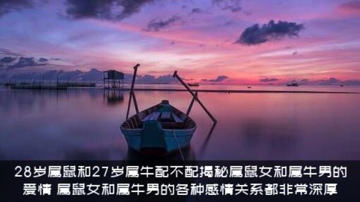 28岁属鼠和27岁属牛配不配揭秘属鼠女和属牛男的爱情，属鼠女和属牛男的各种感情关系都非常深厚