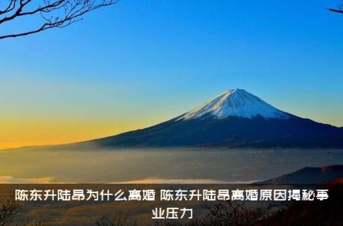 陈东升陆昂为什么离婚（陈东升陆昂离婚原因揭秘事业压力）