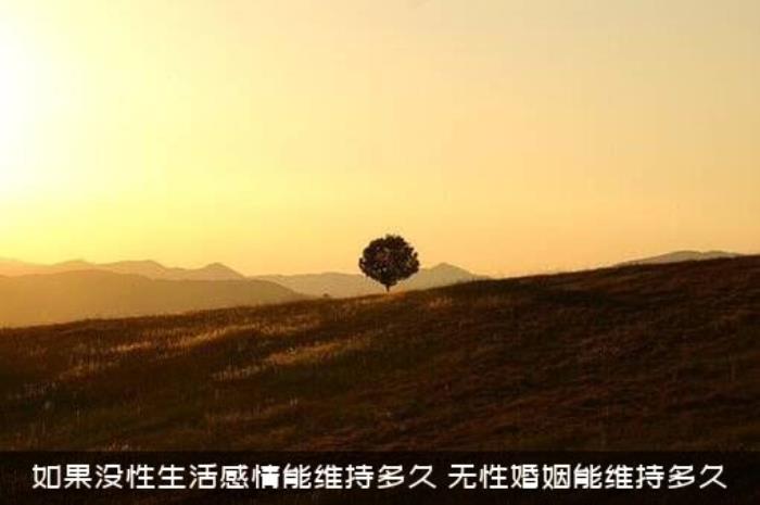 如果没性生活感情能维持多久