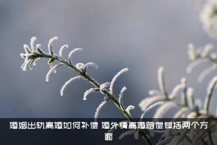婚姻出轨离婚如何补偿