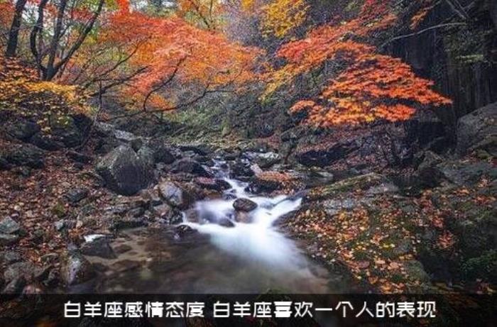 白羊座感情态度（白羊座喜欢一个人的表现）