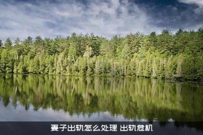 妻子出轨怎么处理（出轨危机）