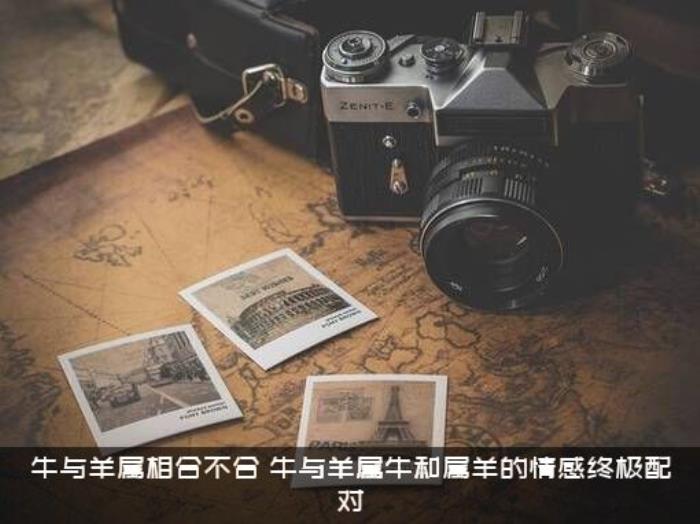 牛与羊属相合不合（牛与羊属牛和属羊的情感终极配对）