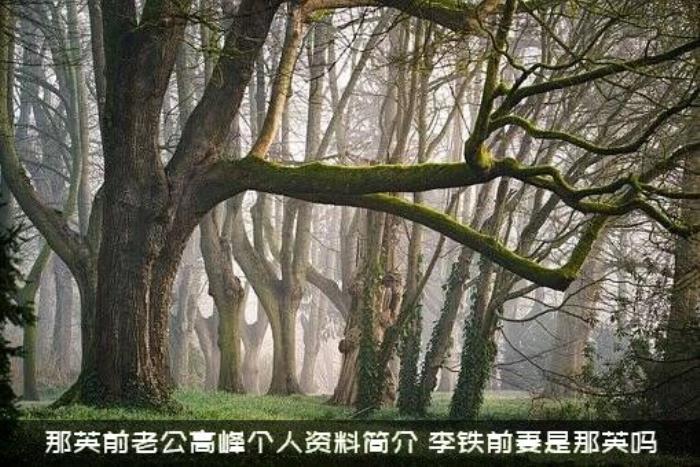 那英前老公高峰个人资料简介
