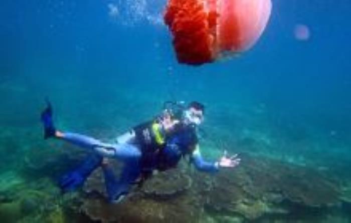 石梅湾加井岛潜水基地海南景点
