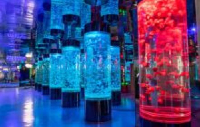 海立方海洋乐园吉林景点