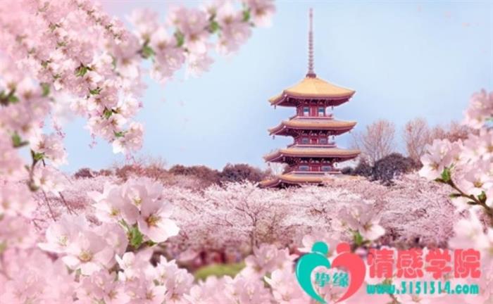 天秤男最舍不得伤害哪种女人,颜值高才是王道 天秤男最舍不得伤害哪种女人,颜值高才是王道