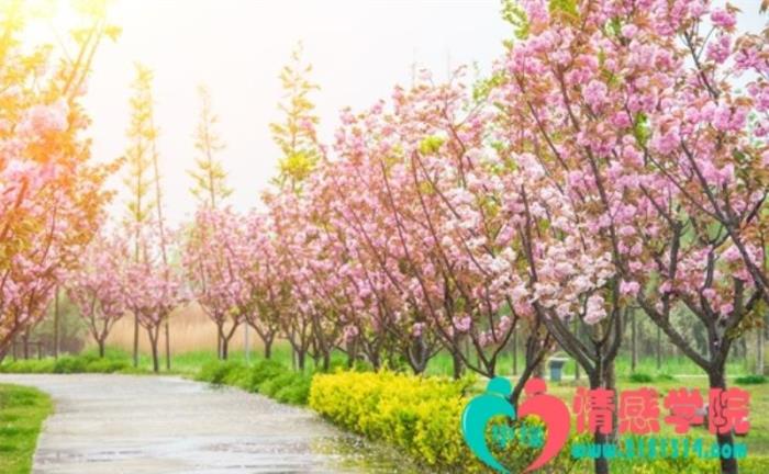 出轨后复合还会幸福吗?出轨后的婚姻能走多远 出轨后复合还会幸福吗?出轨后的婚姻能走多远