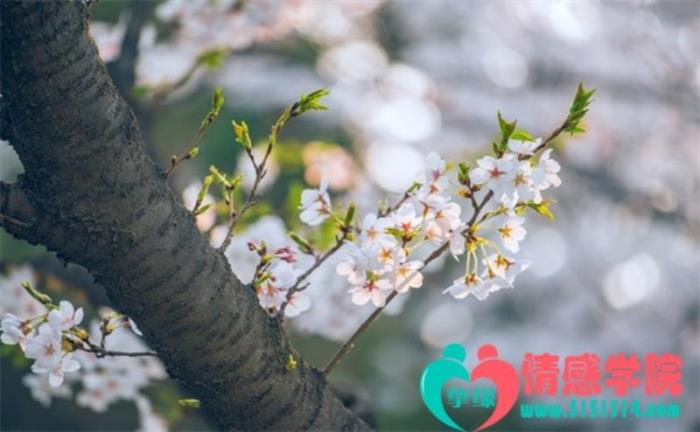如何拒绝别人的要求而不破坏关系？