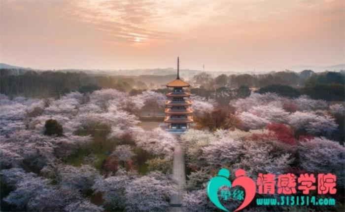 男朋友很冷淡但会理我，要怎么跟他沟通？