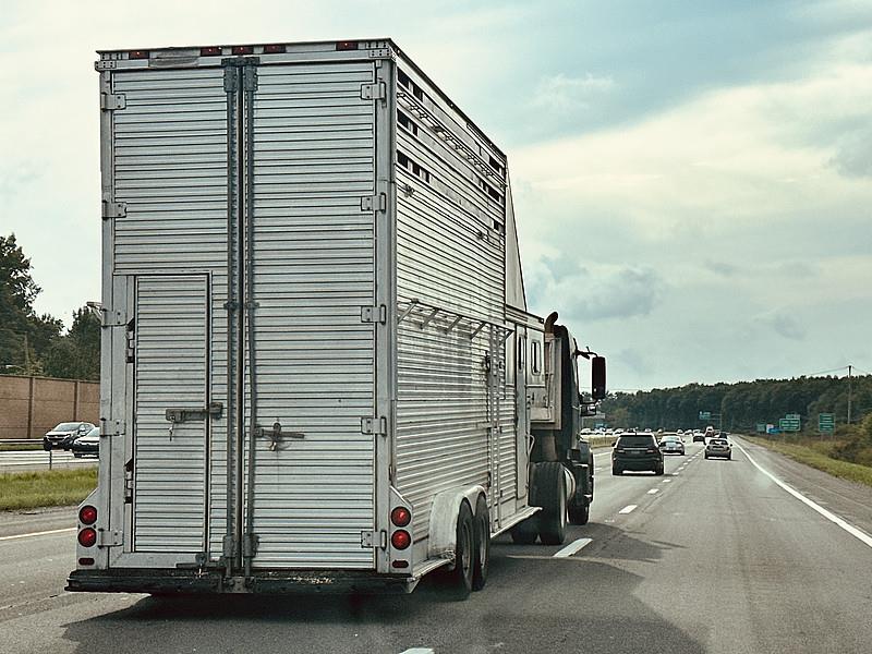 上海市到沙特阿拉伯吉达全球城市物流配送合作 上海市到沙特阿拉伯吉达全球城市物流配送合作