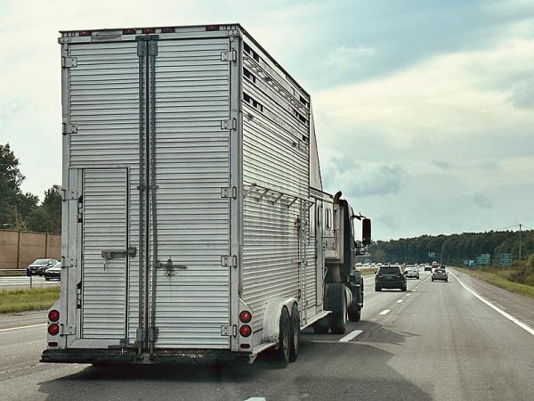 上海市到沙特阿拉伯吉达全球城市物流配送合作